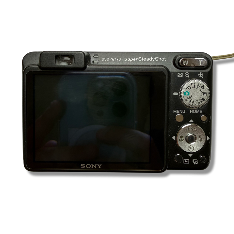 Aparat cyfrowy Sony Cyber-shot DSC-W170 | streetcamera35